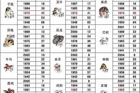 05屬什麼|2005 年出生属什么生肖